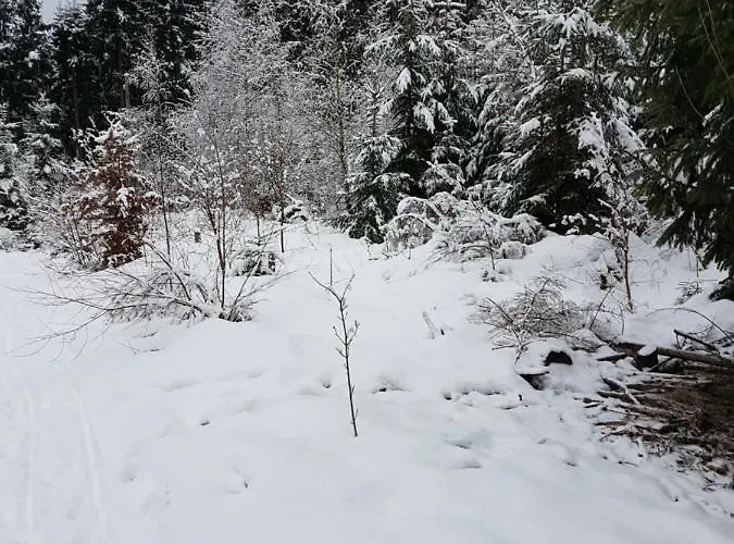 Rosalie - - Hiking&swimming - Cozy&nature Winterberg