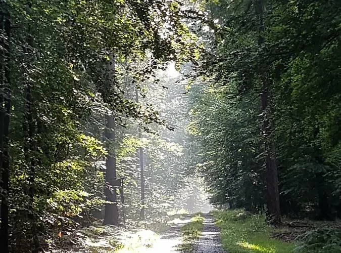 Rosalie - - Hiking&swimming - Cozy&nature Appartement *